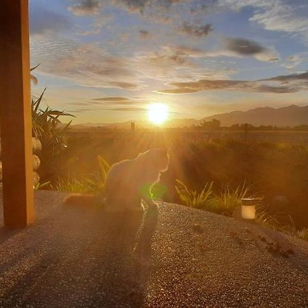 Brook House B&B & Cottages Kaikoura Exterior foto