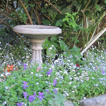 Brook House B&B & Cottages Kaikoura Exterior foto
