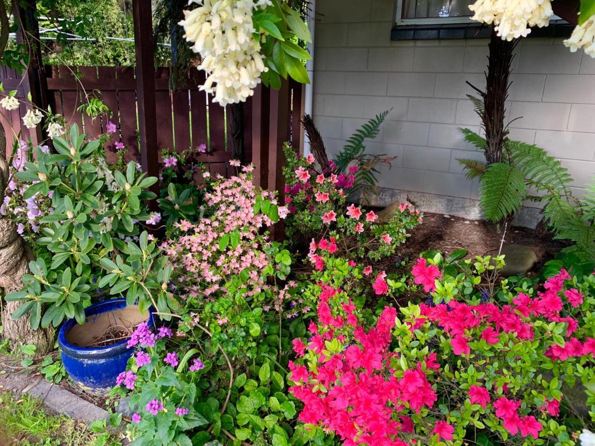Brook House B&B & Cottages Kaikoura Exterior foto