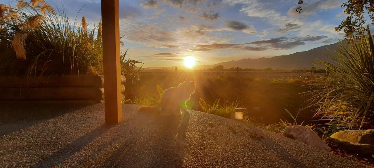 Brook House B&B & Cottages Kaikoura Exterior foto