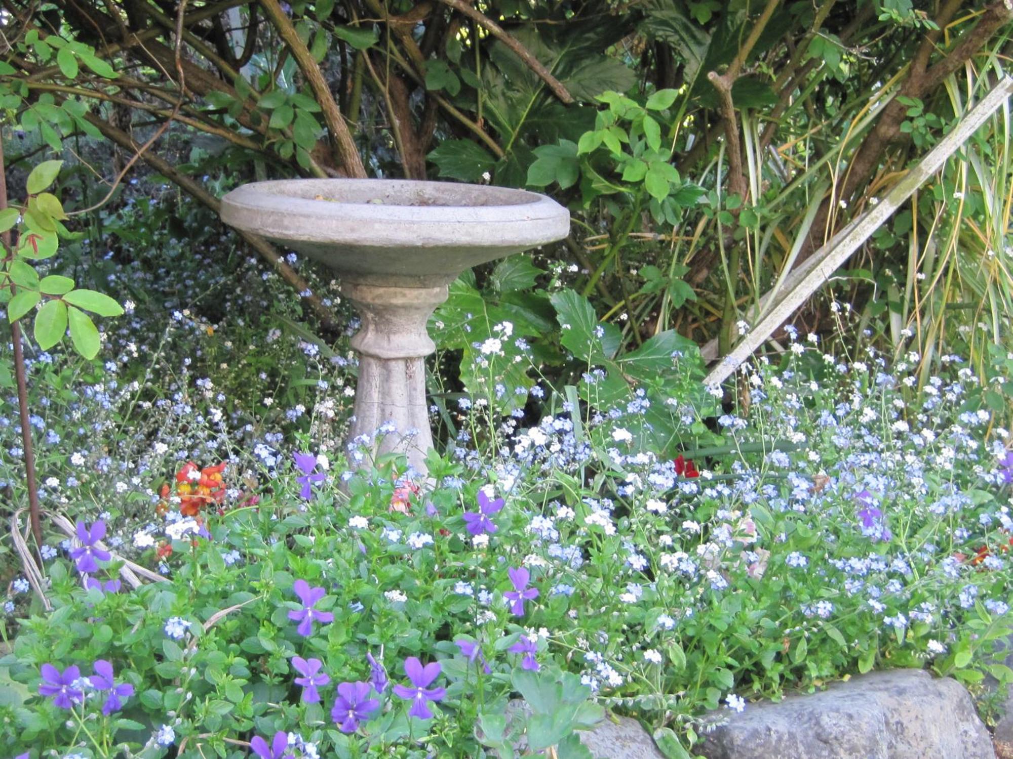 Brook House B&B & Cottages Kaikoura Exterior foto