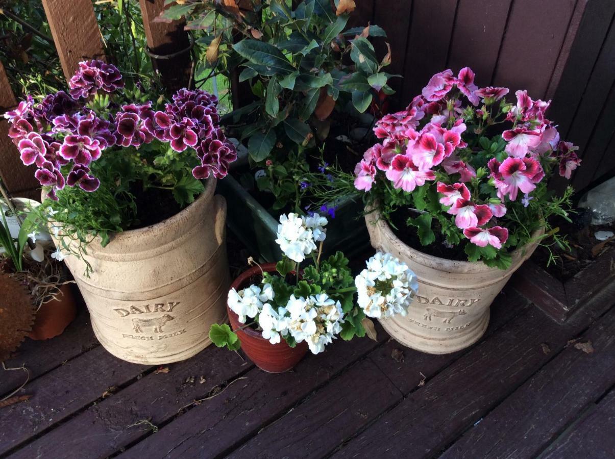 Brook House B&B & Cottages Kaikoura Exterior foto